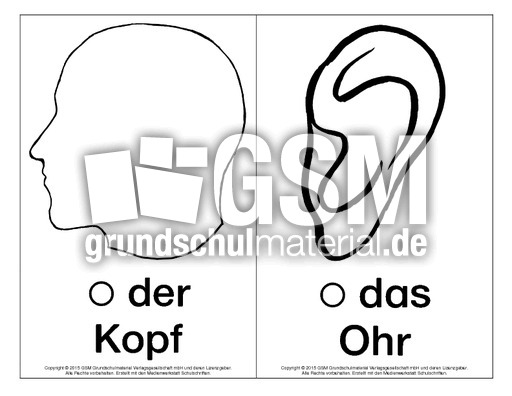 Bild-Wort-Karten-Körperteile.pdf